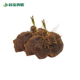 谷宝生态紫山药脚板薯500g