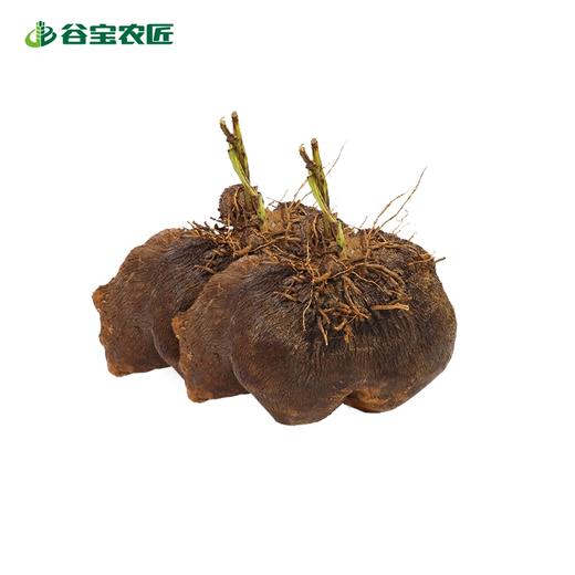 谷宝生态紫山药脚板薯500g 商品图0