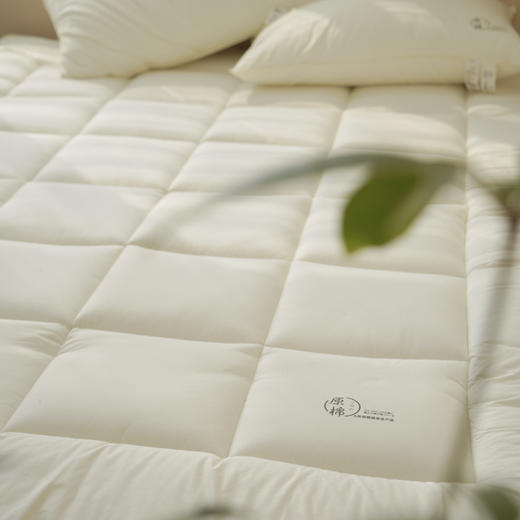 【立体床垫】原棉A类床垫纯色原棉无荧光床褥加厚保护垫烫画软床垫 商品图3