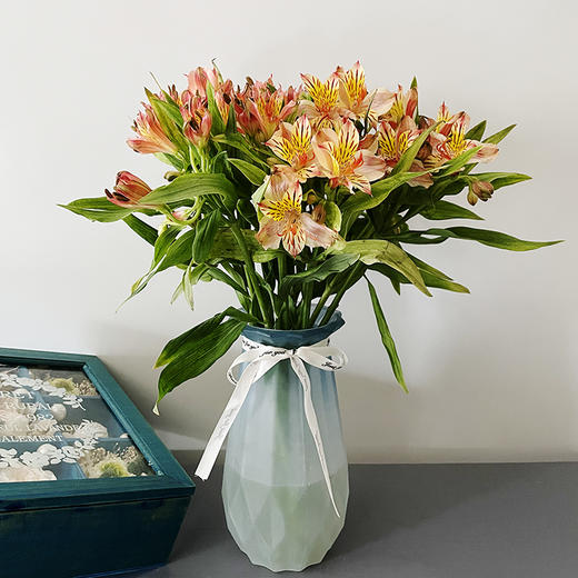 花中仙子水仙百合