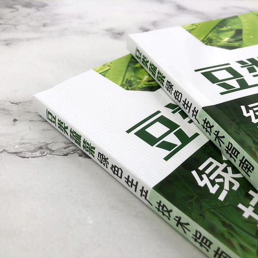 豆类蔬菜绿色生产技术指南 商品图3