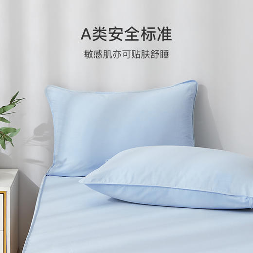 舒飘儿磨毛阻螨枕套 商品图2