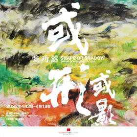  GAC展览 | 张功慤个展《或形或影》将在嘉德艺术中心与您共探色彩之美 