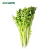 谷宝生态芹菜 商品缩略图0