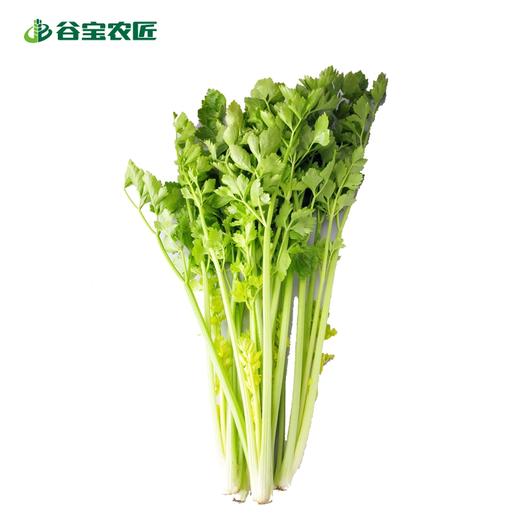 谷宝生态芹菜 商品图0