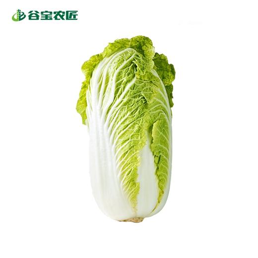 谷宝生态大白菜 商品图0