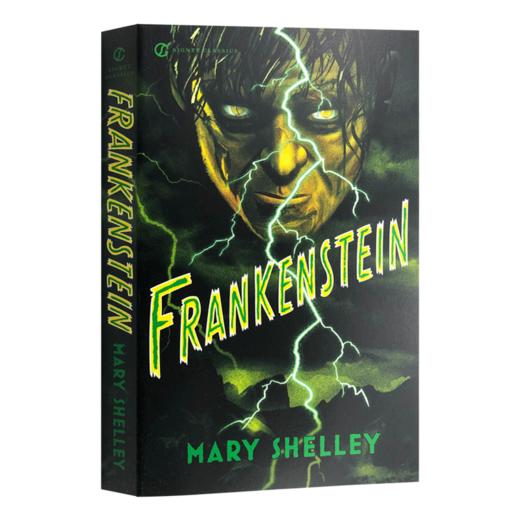 科学怪人弗兰肯斯坦 英文原版 Frankenstein 英文版科幻小说 经典名著进口书籍 Mary Shelley 玛丽雪莱 商品图3