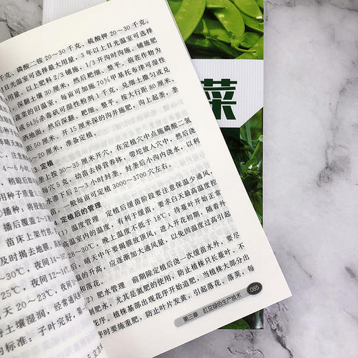 豆类蔬菜绿色生产技术指南 商品图5