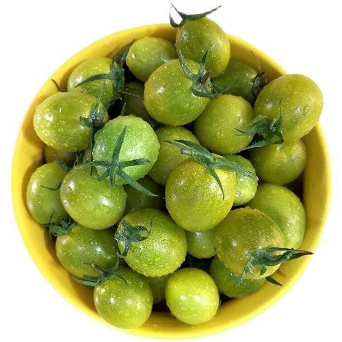 山东青口蜜小番茄500克