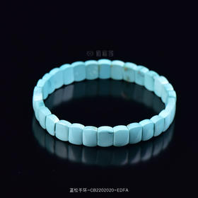 【蔚蓝】蓝松手环-CB2202020