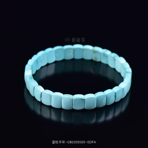 【蔚蓝】蓝松手环-CB2202020 商品图0