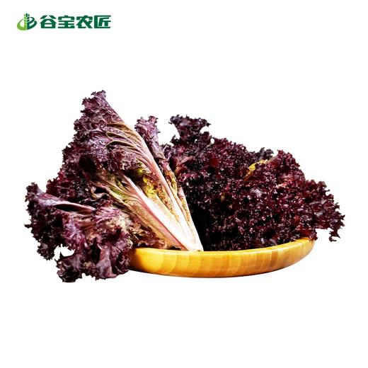 谷宝生态紫生菜 商品图0