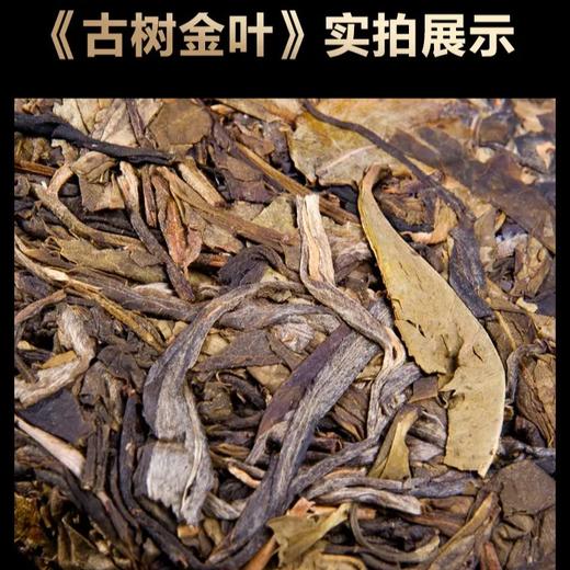 领券下单 拍2发3！吉顺号 2016年《古树金叶》冰岛坝歪古树黄金叶生茶200g 商品图7