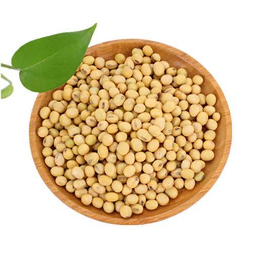 海伦五色谷富硒豆浆豆3.2kg盒装 商品图1