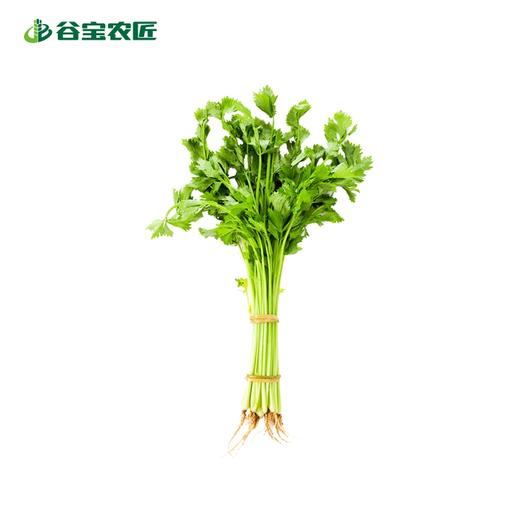 谷宝生态小香芹 商品图0