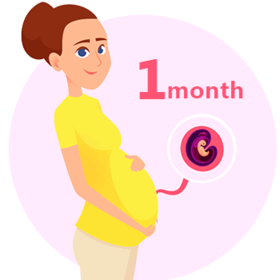 【孕1月】惊喜降临