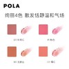 宝丽（POLA）碧艾绚丽多彩腮红8g 商品缩略图2