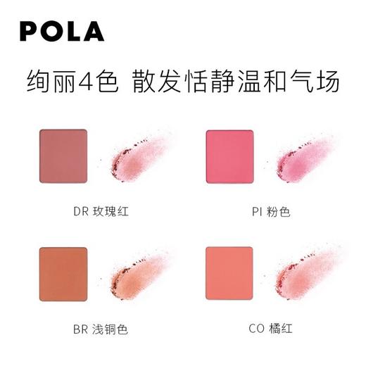 宝丽（POLA）碧艾绚丽多彩腮红8g 商品图2