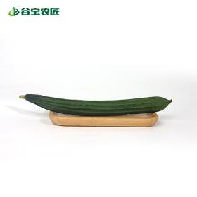 谷宝生态菱角丝瓜