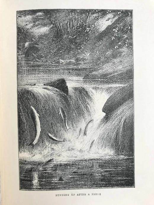1893年 垂钓指南（全2卷） 数百幅版画插图 漆布精装32开 商品图6