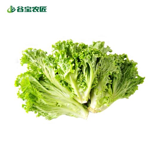 谷宝生态花叶生菜 商品图0