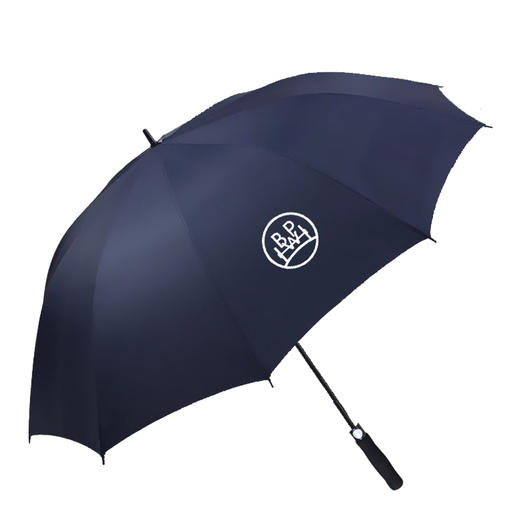 BPW定制雨伞全自动超大号 商品图2