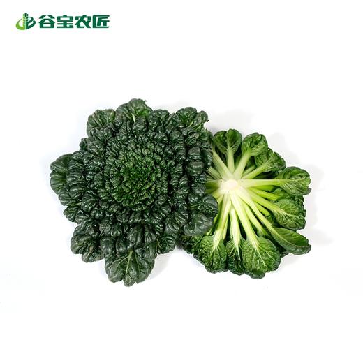 谷宝生态乌塌菜 商品图0