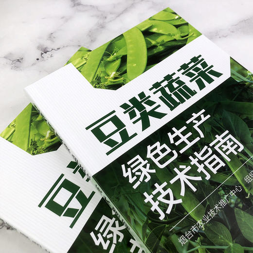 豆类蔬菜绿色生产技术指南 商品图2