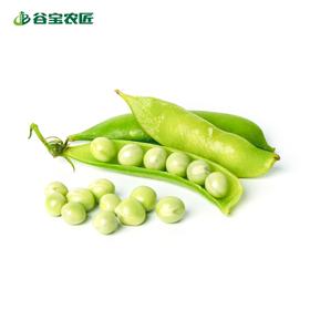 谷宝生态扁豆