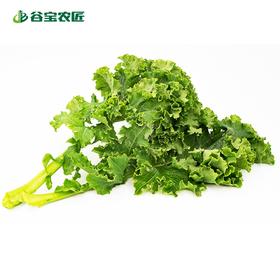 谷宝生态羽衣甘蓝