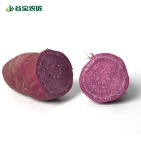 谷宝生态紫薯