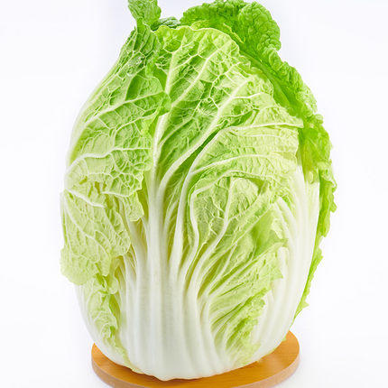 绿源禾心有机大白菜（线下） 商品图0