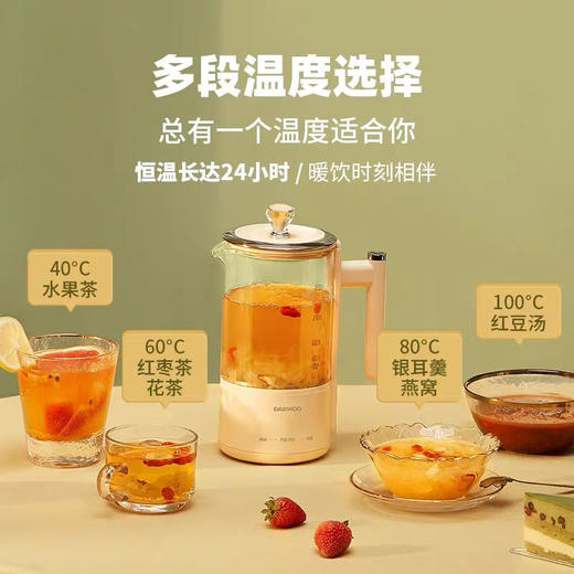 韩国大宇养生壶 商品图2