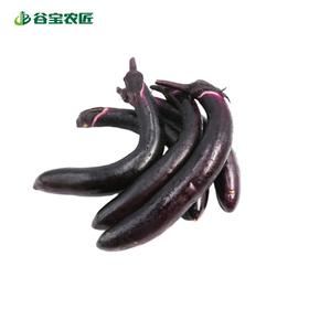 谷宝生态紫墨茄