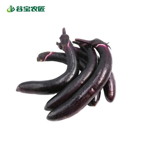 谷宝生态紫墨茄 商品图0