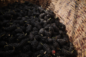 “气血足、百病除”，1分钟自判，你的气血充足吗？