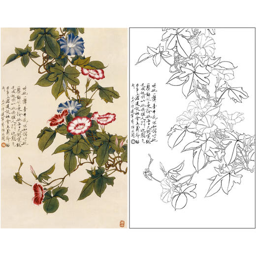 于非闇竖幅工笔花鸟白描底稿牵牛花yf21