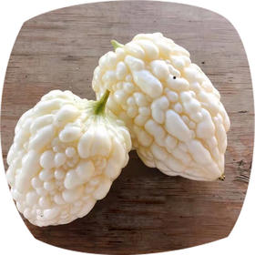 赞字村白玉苦瓜