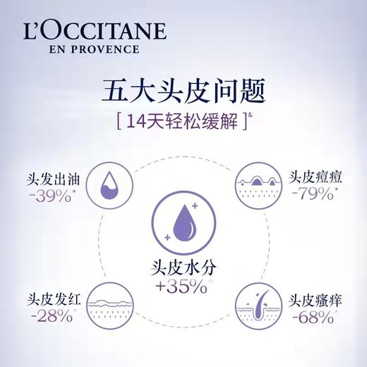 欧舒丹草本系列-平衡洗发水 温和清洁丰盈蓬松 心选到家 商品图1