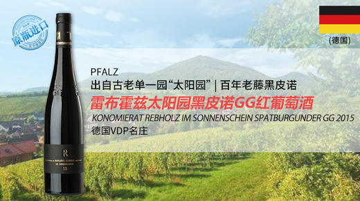 【德国】雷布霍兹太阳园黑皮诺GG红葡萄酒2015 商品图0