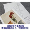 于非闇竖幅工笔花鸟白描底稿《美人蕉》-多种白描尺寸可选-YF32 商品缩略图3