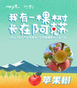 【团队苹果树】2022年我为汽车种棵树“我有一棵树 长在阿克苏”团队独享苹果树认种 商品缩略图0
