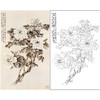 于非闇竖幅工笔花鸟白描底稿-白牡丹-YF05 商品缩略图0