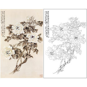 于非闇竖幅工笔花鸟白描底稿-白牡丹-YF05