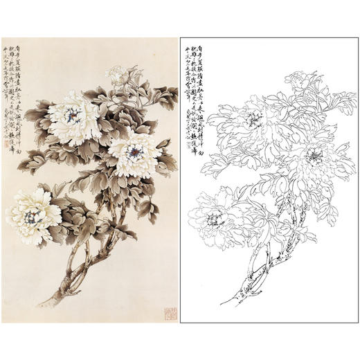 于非闇竖幅工笔花鸟白描底稿-白牡丹-YF05 商品图0