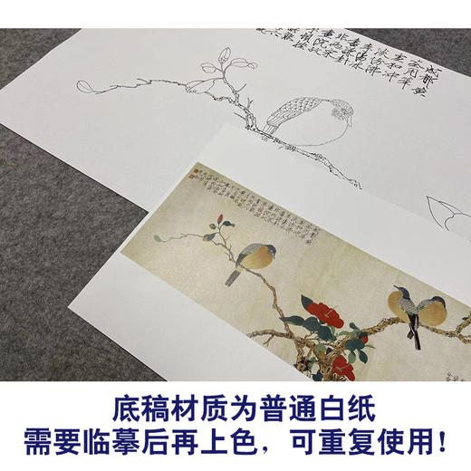 于非闇横幅工笔花鸟白描底稿-茶花斑鸠-YF20 商品图3