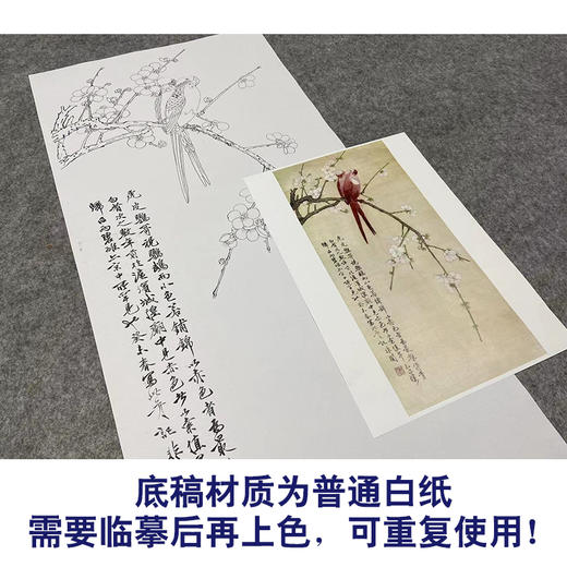 于非闇竖幅工笔花鸟白描底稿-鹦鹉梅花-红鹦白梅-YF50 商品图3