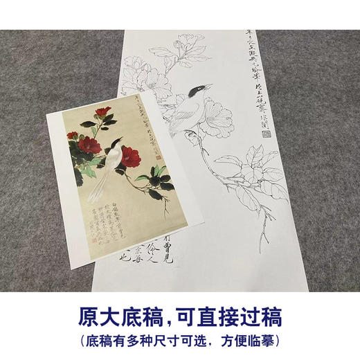 于非闇竖幅工笔花鸟白描底稿山茶花《白雀图》-多种白描尺寸可选-YF45 商品图1