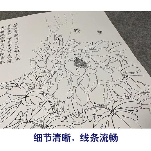 于非闇竖幅工笔花鸟白描底稿-牡丹-YF33 商品图4