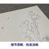 于非闇竖幅工笔花鸟白描底稿《美人蕉》-多种白描尺寸可选-YF32 商品缩略图4
